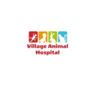 Village Animal Hospital