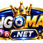 BINGOMAX xnet