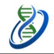 Oxzyn Healthcare