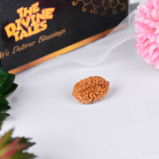 original rudraksha mala