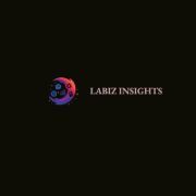 Labiz Insights