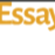 Essay Writer NZ