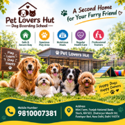 pet lover hut