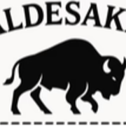 Aldesaka Leather Bags